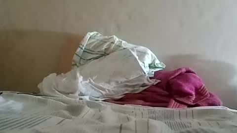 Snapshot of el131140 chatting on 01/19/25, 06:53 Sebastin online show from 01/19/25, 06:53