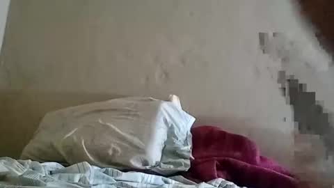 Snapshot of el131140 chatting on 02/08/25, 03:41 Sebastin online show from 02/08/25, 03:41