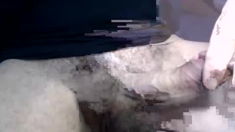 Snapshot of el_gato_lusty chatting on 01/30/25, 01:42 el gato lusty online show from 01/30/25, 01:42