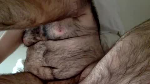 Snapshot of elago chatting on 12/23/24, 03:33 elabear online show from 12/23/24, 03:33