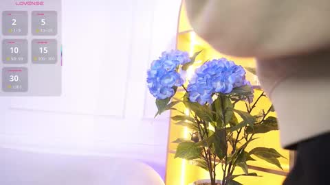 Elasummeer online show from 11/19/25, 11:43