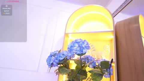 Elasummeer online show from 12/18/25, 11:49