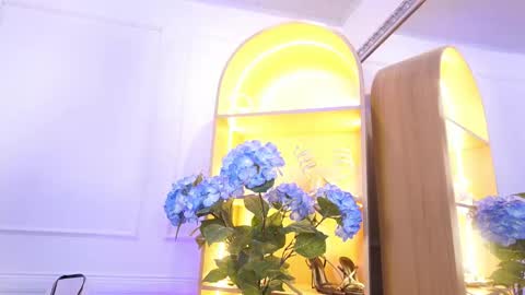 Elasummeer online show from 12/22/25, 11:29