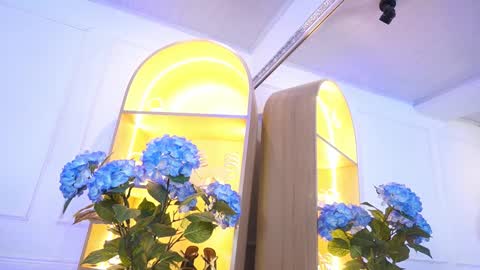 Elasummeer online show from 01/09/26, 11:35