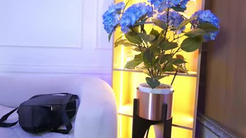 Elasummeer online show from 01/13/26, 11:48