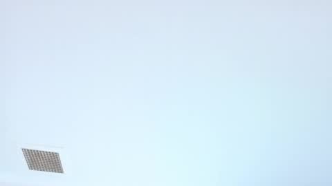 Snapshot of elektradoll1 chatting on 06/05/26, 12:44 elektradoll1 online show from 06/05/26, 12:44