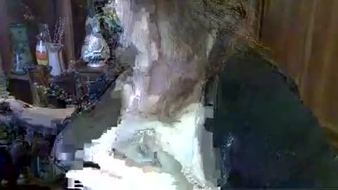 ElenaZed online show from 10/06/25, 09:40