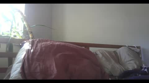 Snapshot of elephantfox chatting on 02/11/25, 09:14 fox online show from 02/11/25, 09:14