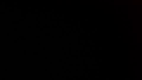 elessar_telcontar online show from 01/27/25, 05:37