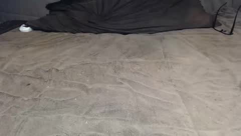 elgsslt online show from 04/08/26, 09:53