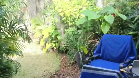 Snapshot of eliberator chatting on 01/18/25, 07:58 eliberator online show from 01/18/25, 07:58