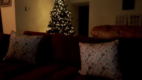 Elinah online show from 12/02/25, 10:53