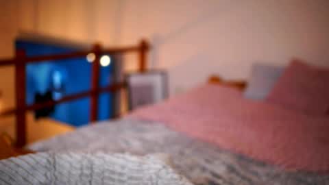 Sunflower  online show from 01/16/26, 03:16