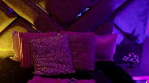 elit noa online show from 02/13/26, 07:37