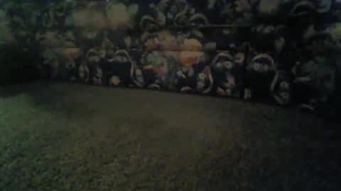 jeff online show from 11/13/25, 08:46