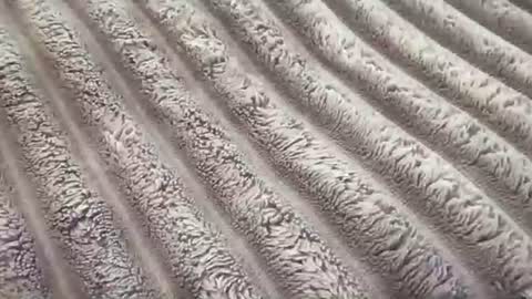 eliterd online show from 11/29/25, 07:39