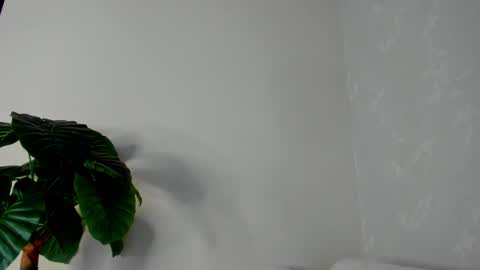 My name is ElizaPVT is open online show from 02/22/25, 11:03