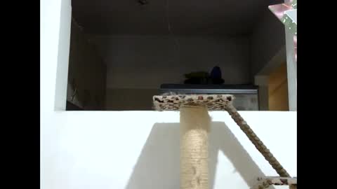 Elizabeth Martinez  online show from 01/19/25, 08:09