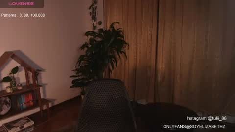 Snapshot of elizabethz chatting on 06/14/26, 01:25 Tuli online show from 06/14/26, 01:25