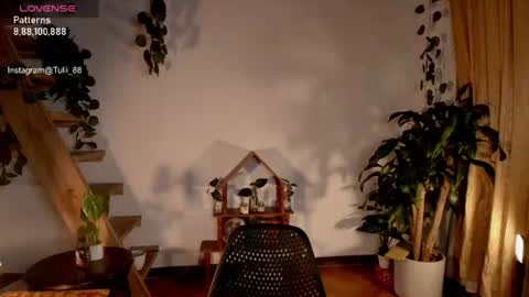 Snapshot of elizabethz chatting on 06/22/26, 01:07 Tuli online show from 06/22/26, 01:07