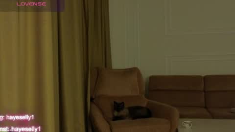 Snapshot of ella_hayes chatting on 04/08/26, 11:27 Ella NEXT STREAM 1TH DECEMBER 1200 - 0800 AM AT MOSCOW TIME online show from 04/08/26, 11:27