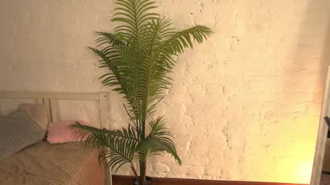 elliefrost online show from 03/11/25, 03:26