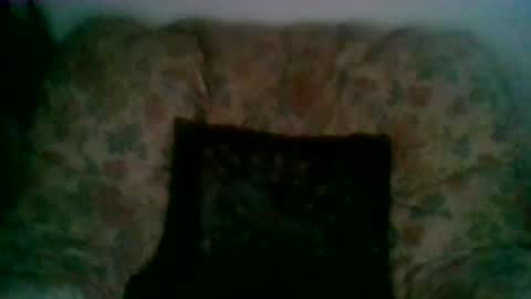 Snapshot of elmo191271 chatting on 01/07/26, 08:06 elmo191271 online show from 01/07/26, 08:06