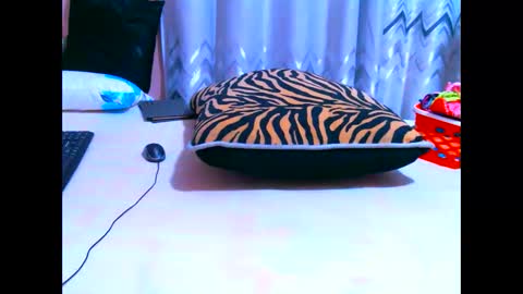 Snapshot of elodielynn chatting on 05/19/26, 04:41 elodielynn online show from 05/19/26, 04:41