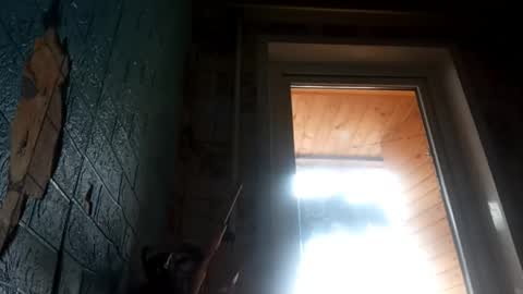 Snapshot of elsiehasselkus chatting on 04/25/26, 09:45 Alisa online show from 04/25/26, 09:45