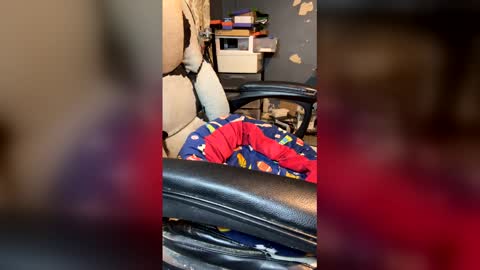 Snapshot of elvergg1 chatting on 04/04/26, 01:37 elvergg1 online show from 04/04/26, 01:37