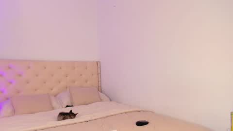 Snapshot of elza_fuentes01 chatting on 03/20/26, 07:30 Michelle online show from 03/20/26, 07:30