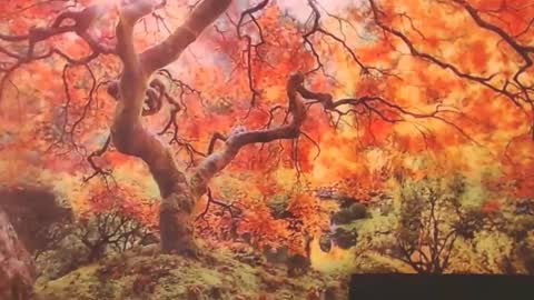 Ember Starleena online show from 09/29/25, 01:16