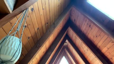 Snapshot of emersoncane chatting on 04/13/26, 06:35 popalottapuss - puddin tits - daddy - buttercup - bonfire - Mrs. Fuck Yea - hibeams - honey buns - online show from 04/13/26, 06:35