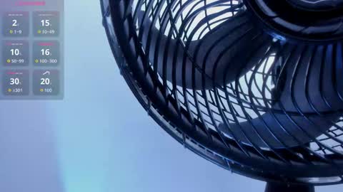 Emily online show from 11/17/25, 11:38