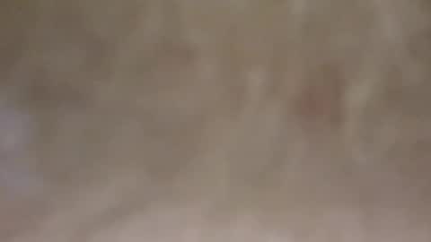 emilmirror online show from 02/11/25, 07:54