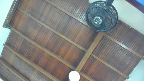 Emily  online show from 01/16/26, 11:03