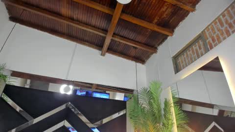 Emily  online show from 01/17/26, 11:04