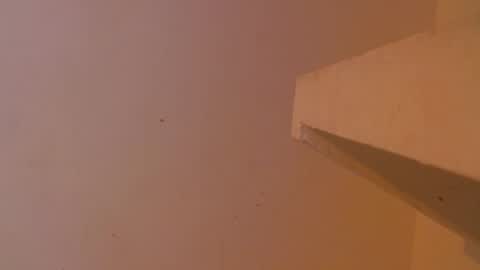 emily308876 online show from 05/05/26, 12:35