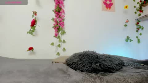 Emily  online show from 02/06/25, 06:35