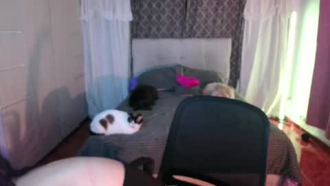 Snapshot of emily_swan_04 chatting on 04/26/26, 01:47 Emily Swan online show from 04/26/26, 01:47