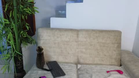 Snapshot of emma_blue_ chatting on 10/20/25, 03:29 Emma Blue modelo independiente online show from 10/20/25, 03:29