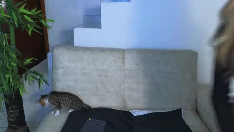 Snapshot of emma_blue_ chatting on 10/28/25, 04:05 Emma Blue modelo independiente online show from 10/28/25, 04:05