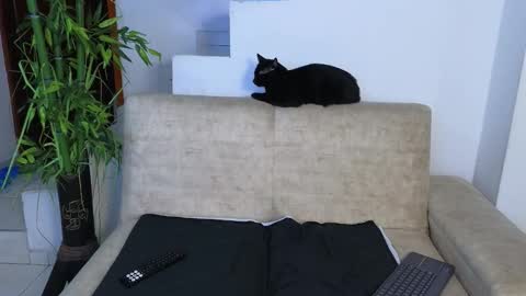 Snapshot of emma_blue_ chatting on 03/26/26, 03:12 Emma Blue modelo independiente online show from 03/26/26, 03:12