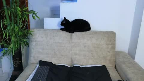 Snapshot of emma_blue_ chatting on 04/22/26, 03:53 Emma Blue modelo independiente online show from 04/22/26, 03:53