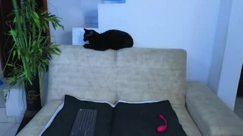 Snapshot of emma_blue_ chatting on 04/23/26, 03:08 Emma Blue modelo independiente online show from 04/23/26, 03:08