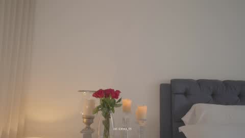 Snapshot of emma_lu1 chatting on 11/01/25, 03:58 emma_lu1 online show from 11/01/25, 03:58