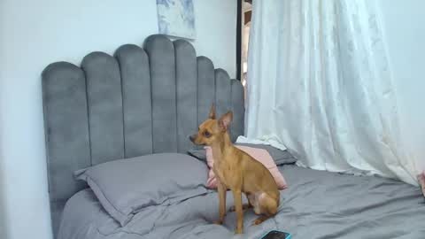 emma_saenz01 online show from 02/12/26, 08:37