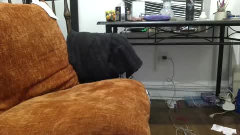 Snapshot of empusalamia chatting on 01/18/25, 11:22 empusalamia online show from 01/18/25, 11:22