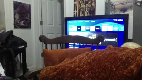 Snapshot of empusalamia chatting on 01/25/25, 09:57 empusalamia online show from 01/25/25, 09:57