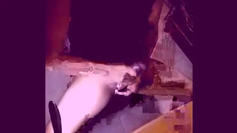 Snapshot of enjoylatino69 chatting on 04/19/26, 12:43 enjoylatino69 online show from 04/19/26, 12:43